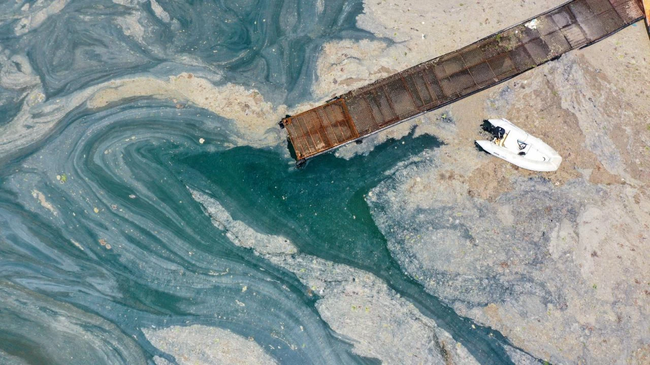 Marmara’da son durum: Toplanan müsilaj nereye götürülüyor?